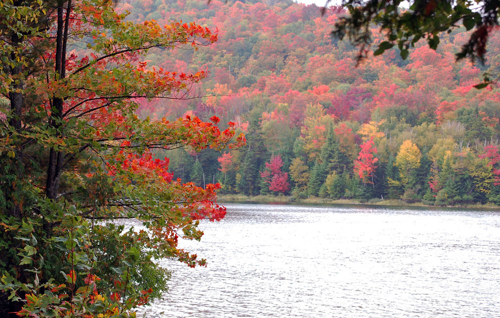 Krajobraz Adirondack jesienią Krajobraz Adirondack jesienią (flickr.com, Lake Placid Region, CCA 2.0 Generic)